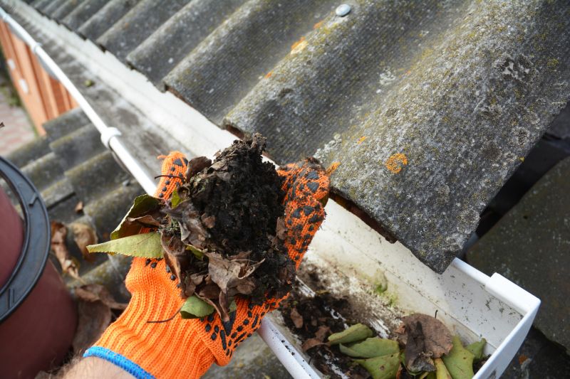 Roof Gutter Cleaning in Fredericksburg, VA